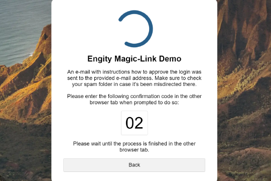 Screenshot of Engity's passwordless Magic Link spinner process